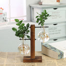 Terrarium Hidropônicos GlassGreen